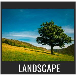 Landscape gallery